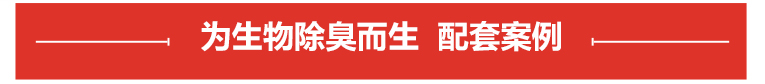 生物除臭塔专用泵案例展示